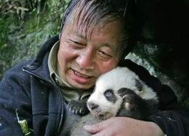 The Friendship Between A Man And Wild Giant Pandas