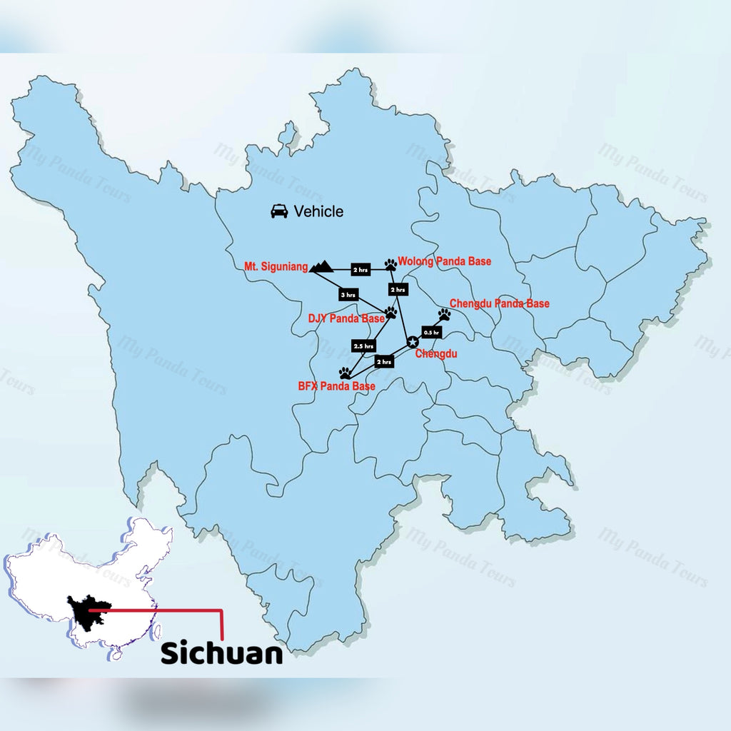 The 6 Panda Bases to See Giant Pandas around Chengdu