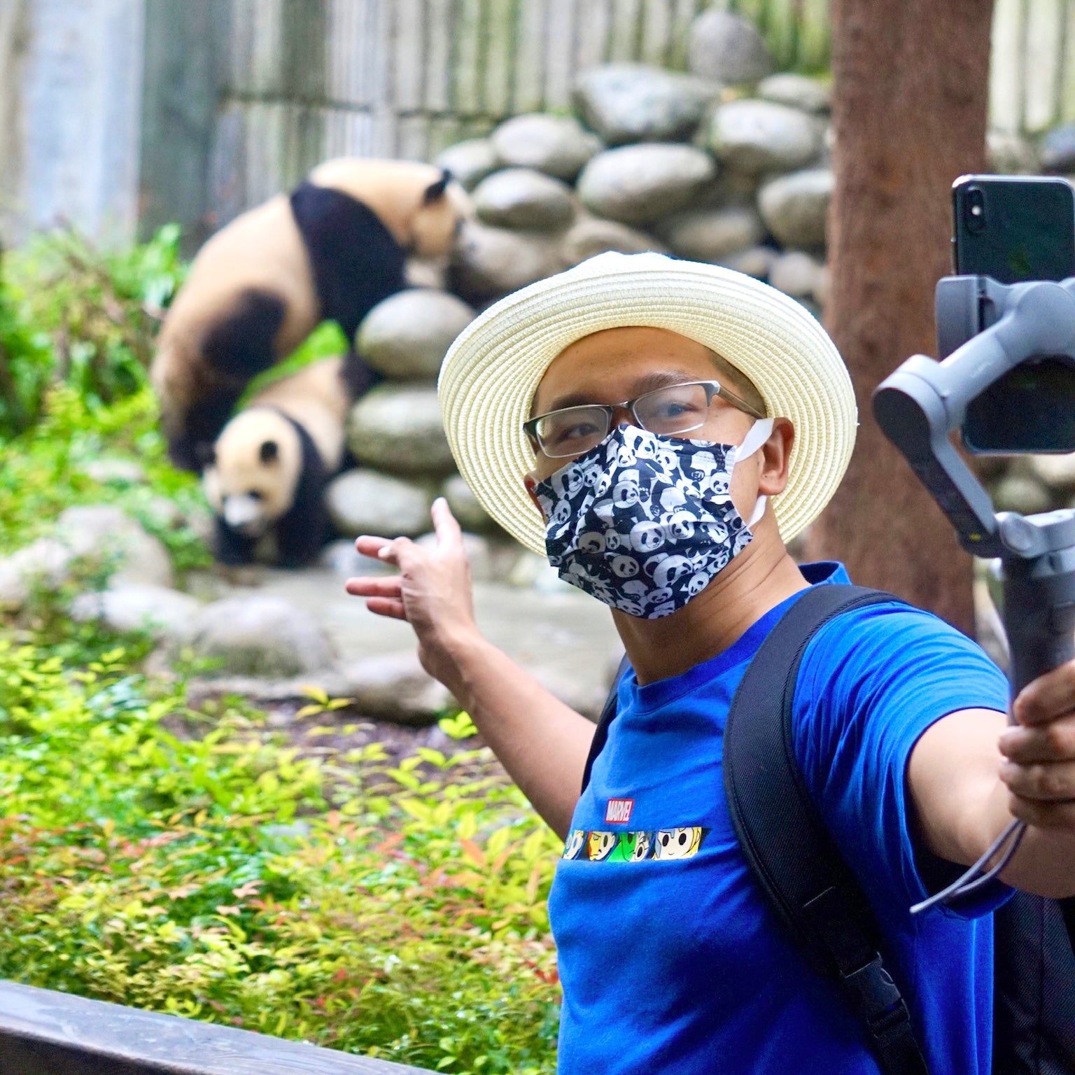 Guided tour to visit giant pandas