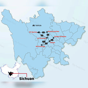 The 6 Panda Bases to See Giant Pandas around Chengdu