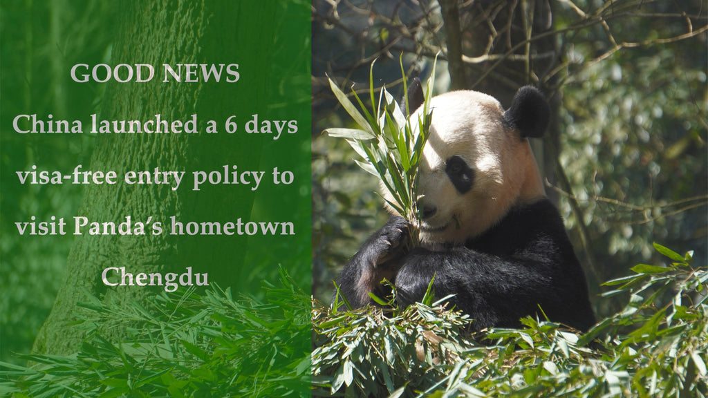 GOOD NEWS !!! China Launched a 6 Days Visa-free Entry Policy to Visit Panda's Hometown Chengdu