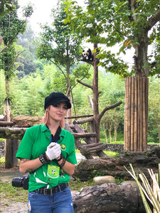 Panda Keeper Volunteer in Dujiangyan Panda Base
