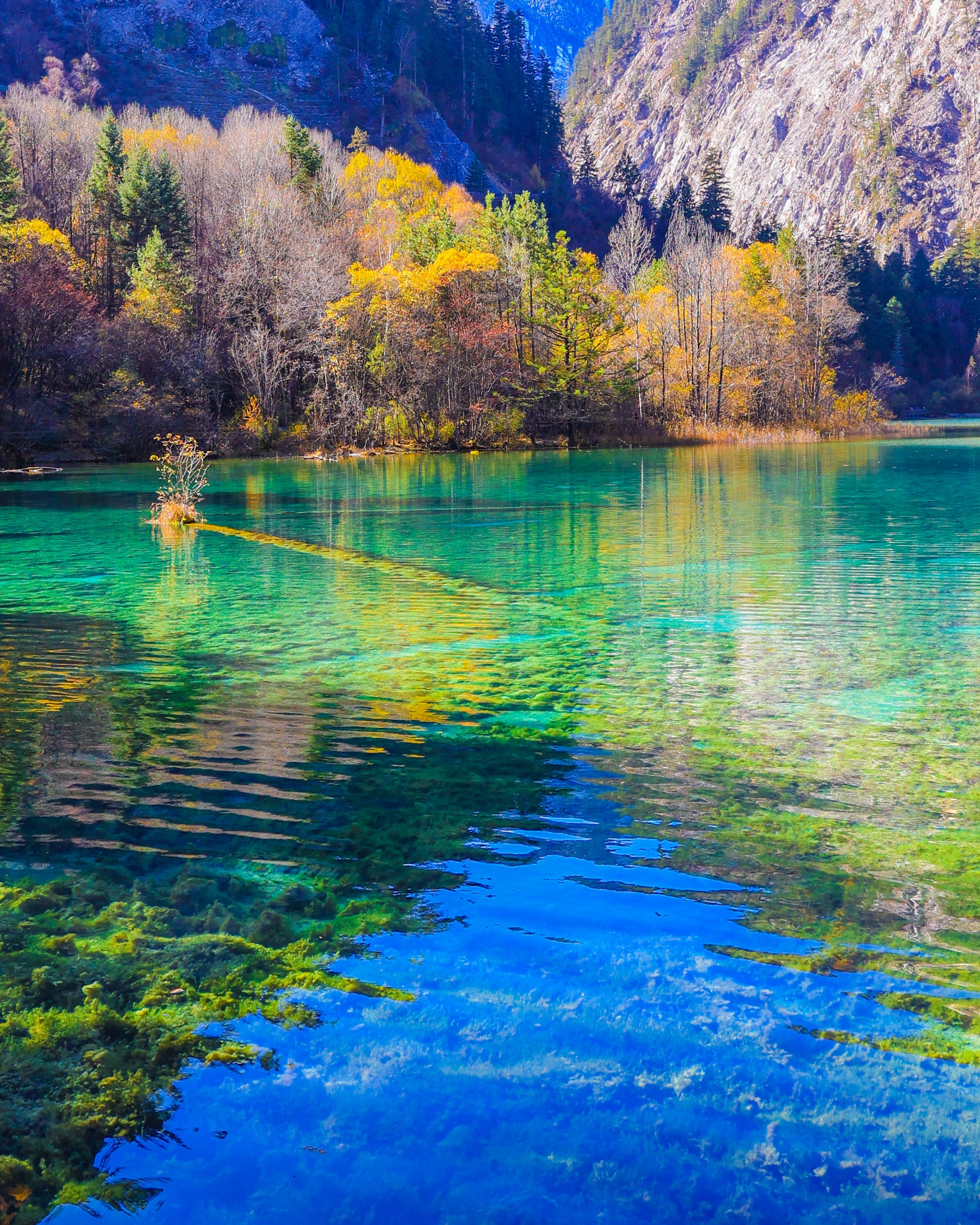 Classic 3-day Chengdu to Jiuzhaigou Tour