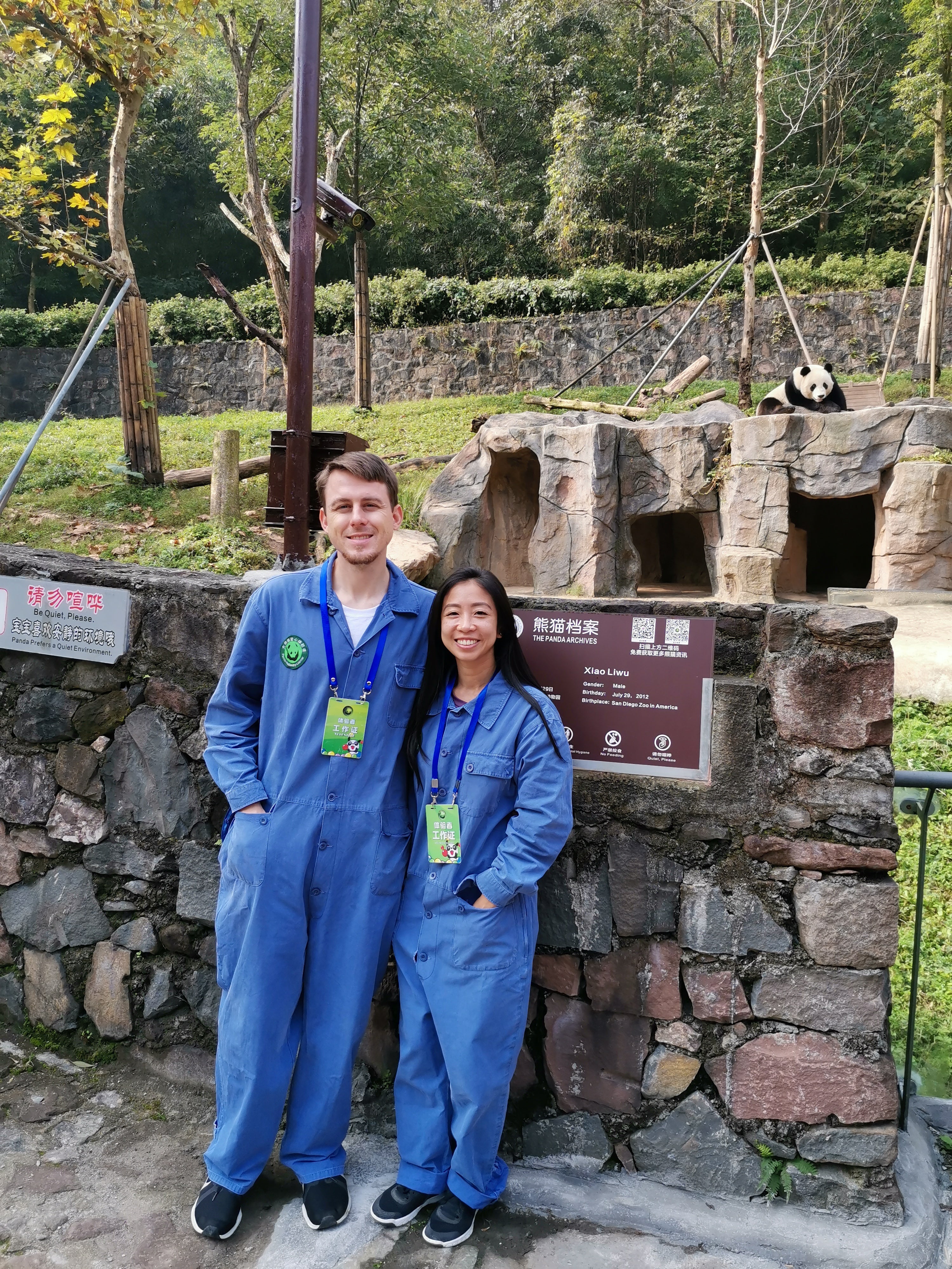 都江堰/雅安/臥龍での3日間のパンダボランティア