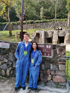 都江堰/雅安/臥龍での3日間のパンダボランティア