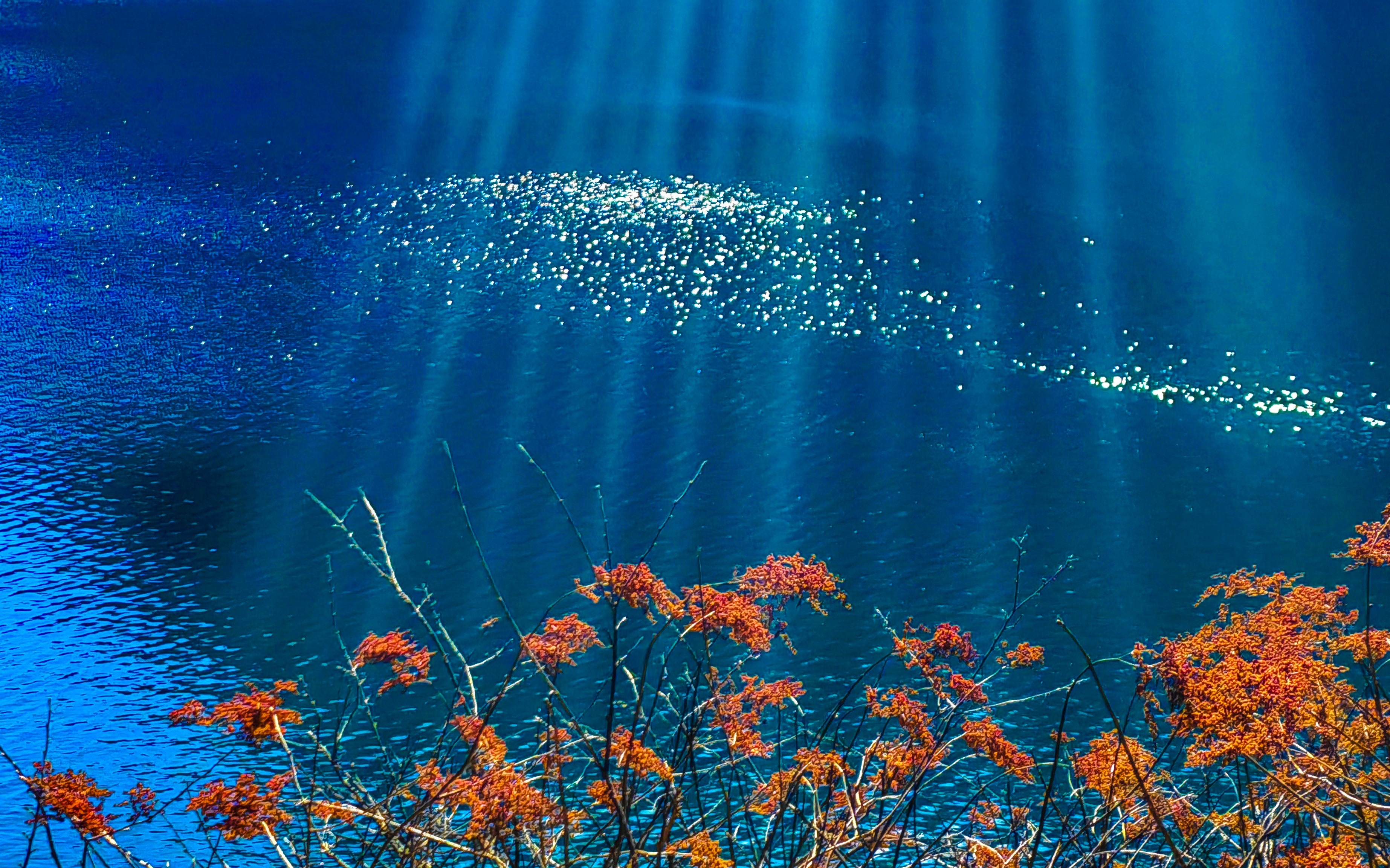 Chengdu to Jiuzhaigou Scenic Area Huanglong Classic 4-day Tour with Experienced Local Driver Tickets Hotels