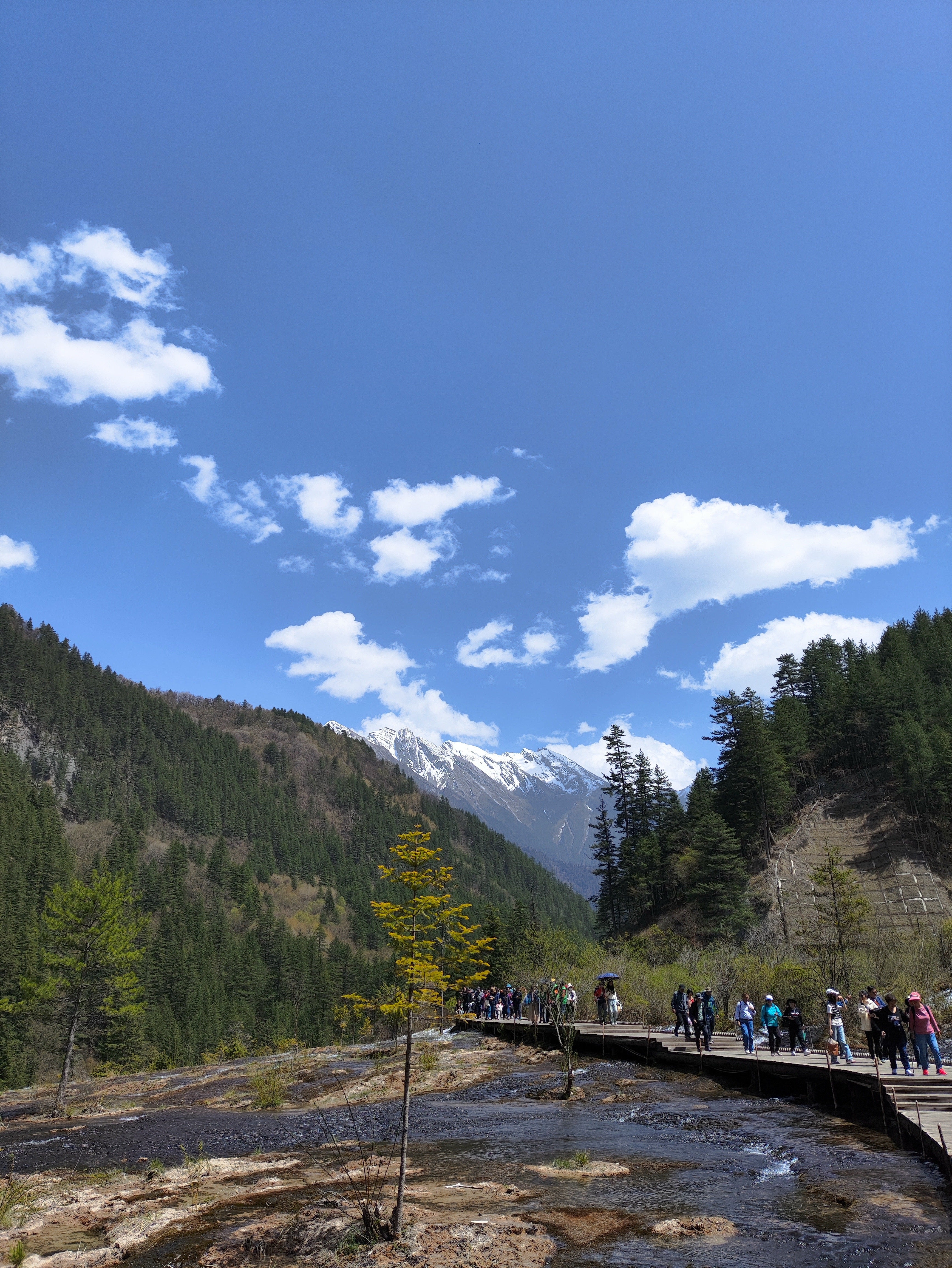 Classic 3-day Chengdu to Jiuzhaigou Tour