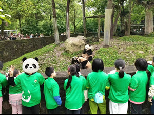 都江堰/雅安/臥龍での3日間のパンダボランティア