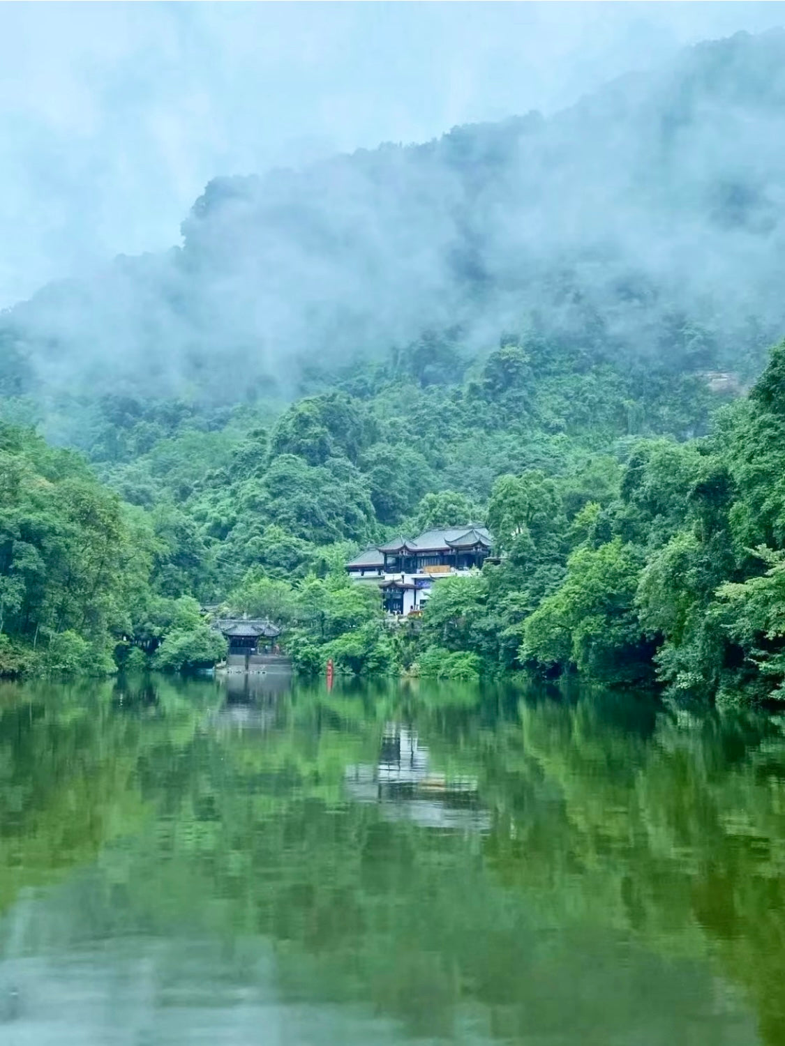 1-Day Dujiangyan Panda Base and Mount Qingcheng