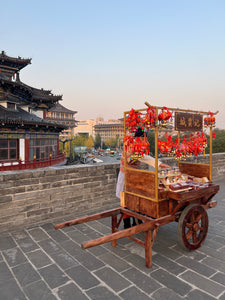 3-day Xi'an Extension Tour of Meeting Overseas Returnee Panda, Mei Xiang