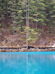 Classic 3-day Chengdu to Jiuzhaigou Tour