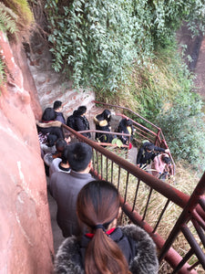 2-Day Tour to Leshan Giant Buddha and Emei Mountain Golden Summit