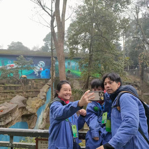 Panda Volunteer in Bifengxia