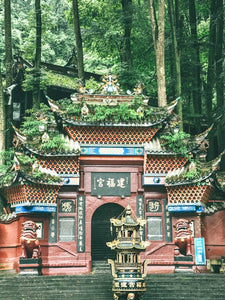 Day Tour to Qingcheng Mountain and Dujiangyan Irrigation System