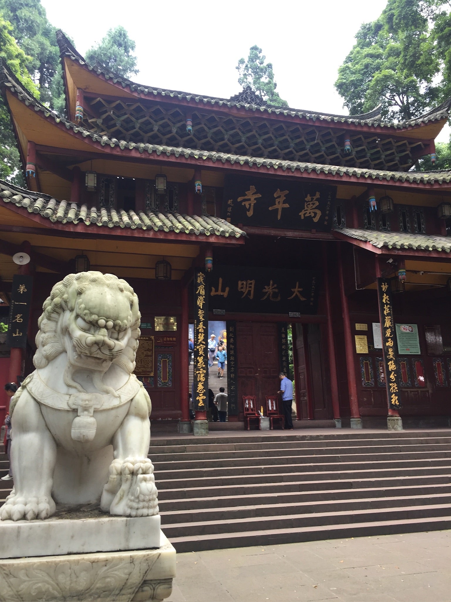 2-Day Tour to Leshan Giant Buddha and Emei Mountain Golden Summit