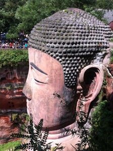 2-Day Tour to Leshan Giant Buddha and Emei Mountain Golden Summit