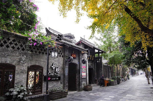 16-day XiangTian Panda Tour