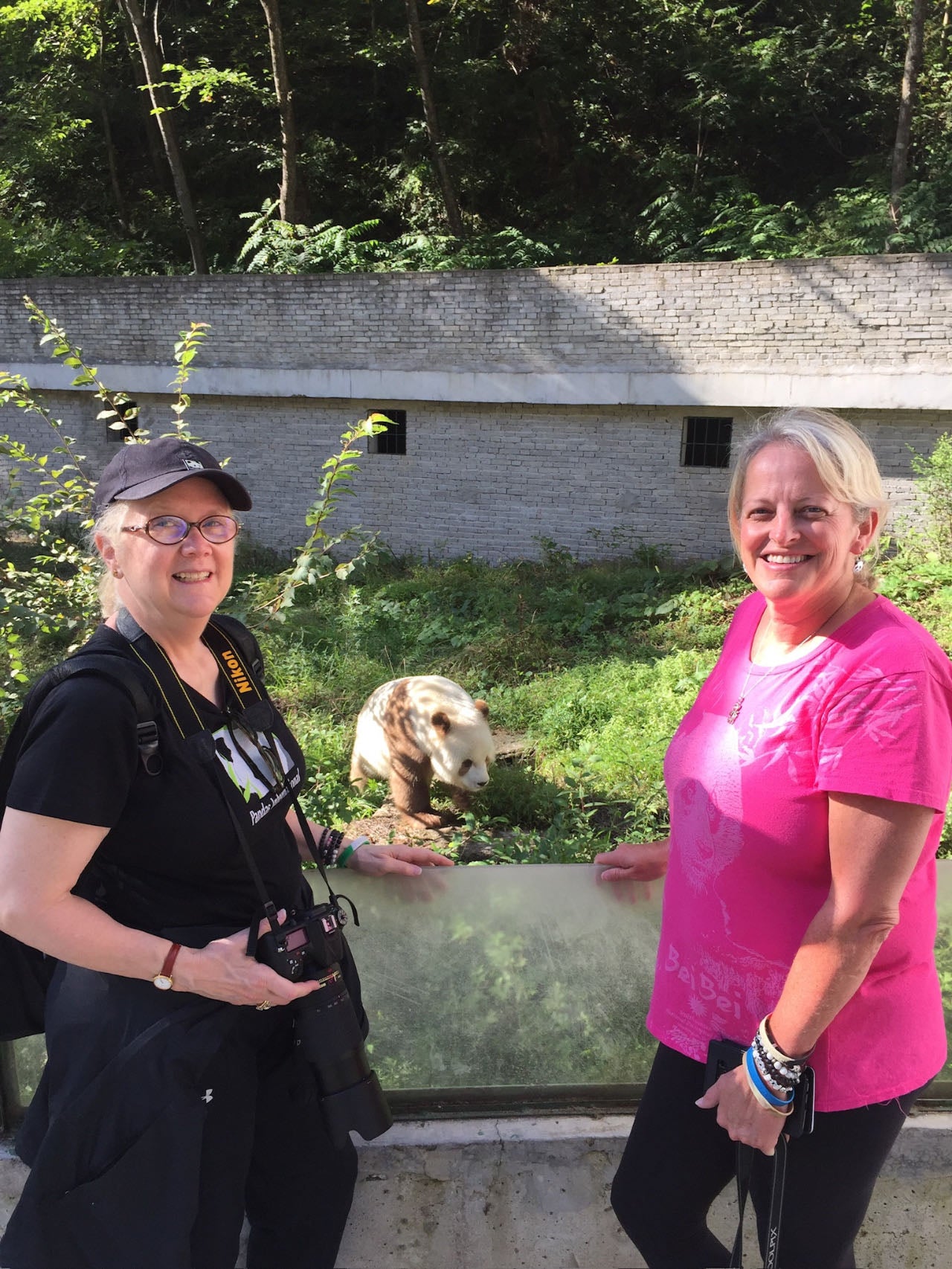 3-day Xi'an Extension Tour of Meeting Overseas Returnee Panda, Mei Xiang