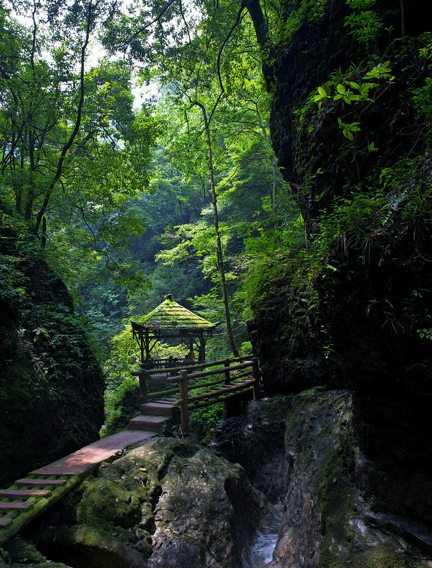 Day Tour to Qingcheng Mountain and Dujiangyan Irrigation System