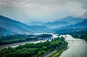 Day Tour to Qingcheng Mountain and Dujiangyan Irrigation System