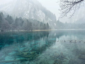 5-day Panda and Jiuzhaigou Tour