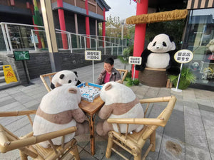 Chengdu Panda Base and Leshan Giant Buddha Private Day Tour