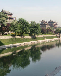 The Terracotta Army and Ancient Wall Private Day Tour in Xi'an