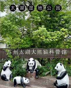 Virtual Tour: Travel with Alvin to Visit PANDAS