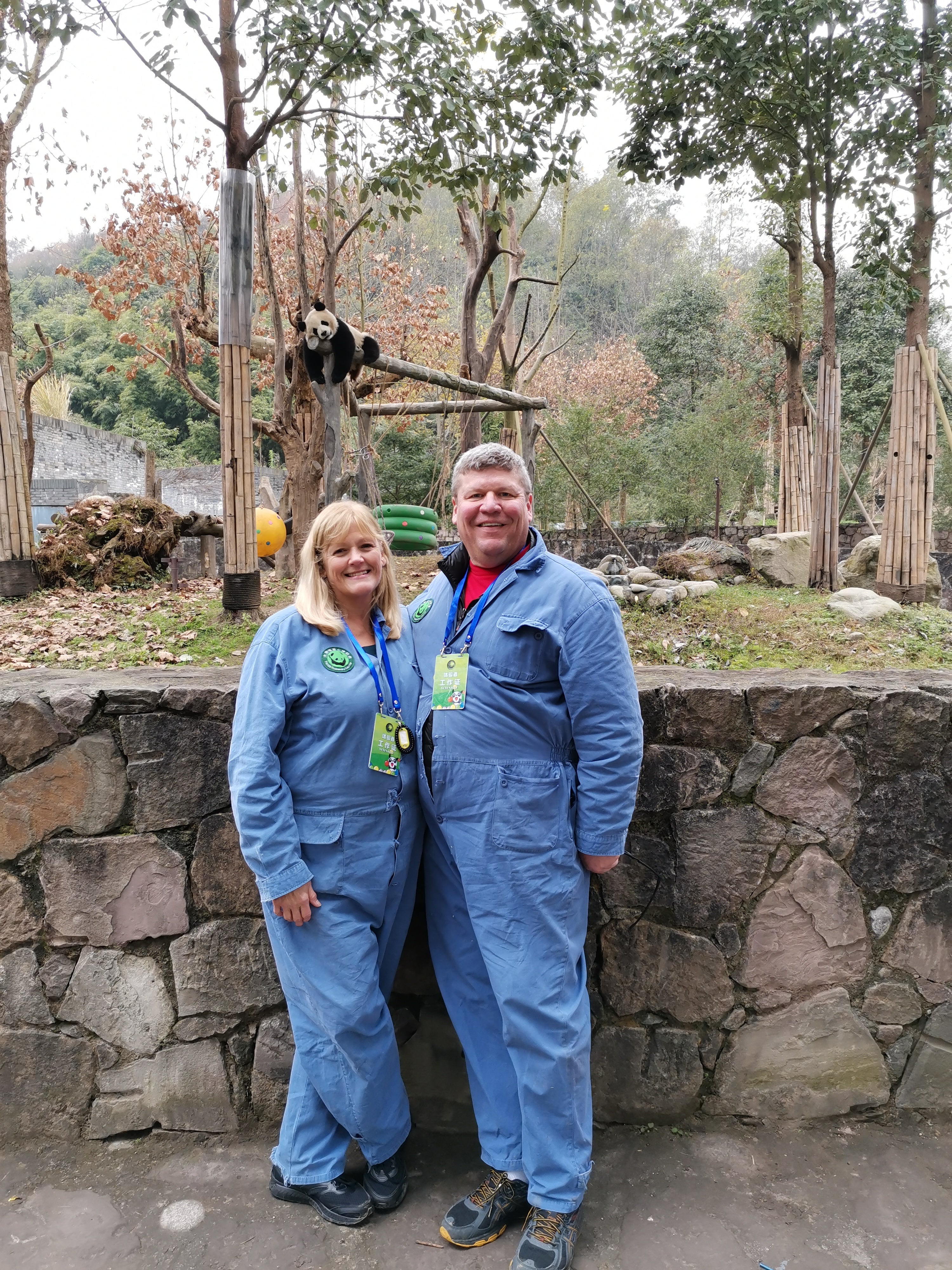 Panda Keeper Volunteer in Dujiangyan Panda Base