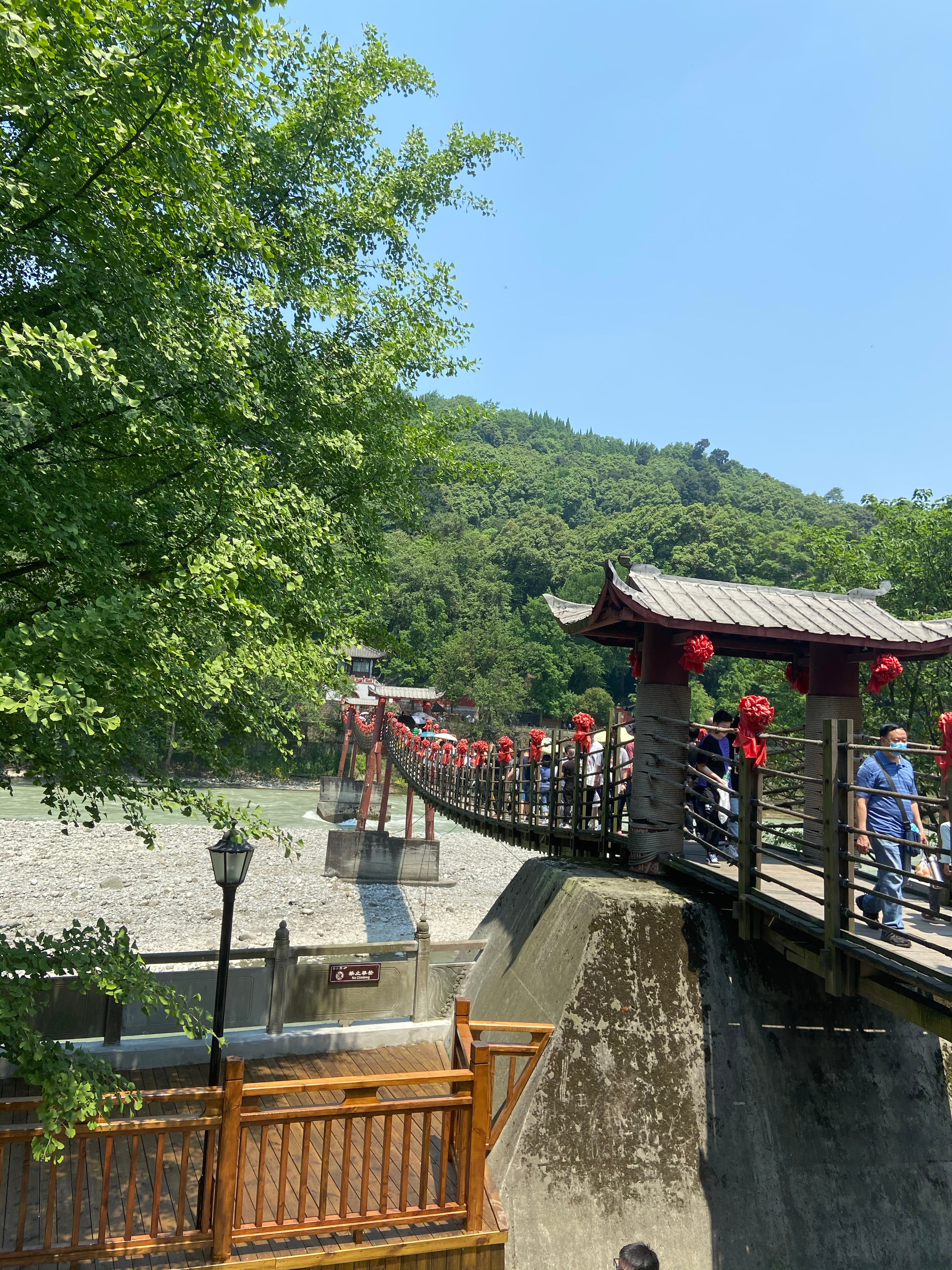 Private Day Tour to Dujiangyan Panda Base and Irrigation System