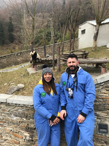 3-Day Panda Volunteer in Dujiangyan/Ya'an/Wolong