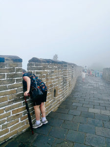 Beijing Mutianyu Great Wall and The Summer Palace Private Day Tour