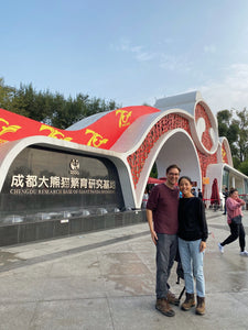 Half-day Chengdu Panda Base Tour